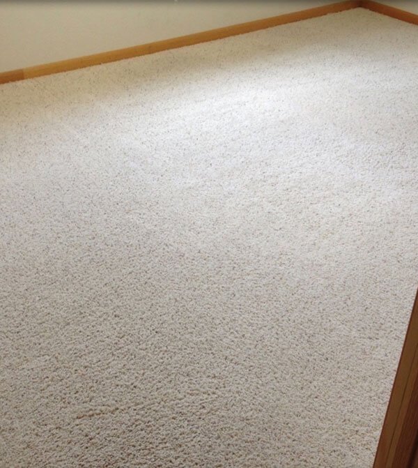 Lowes carpet cleaning Houston